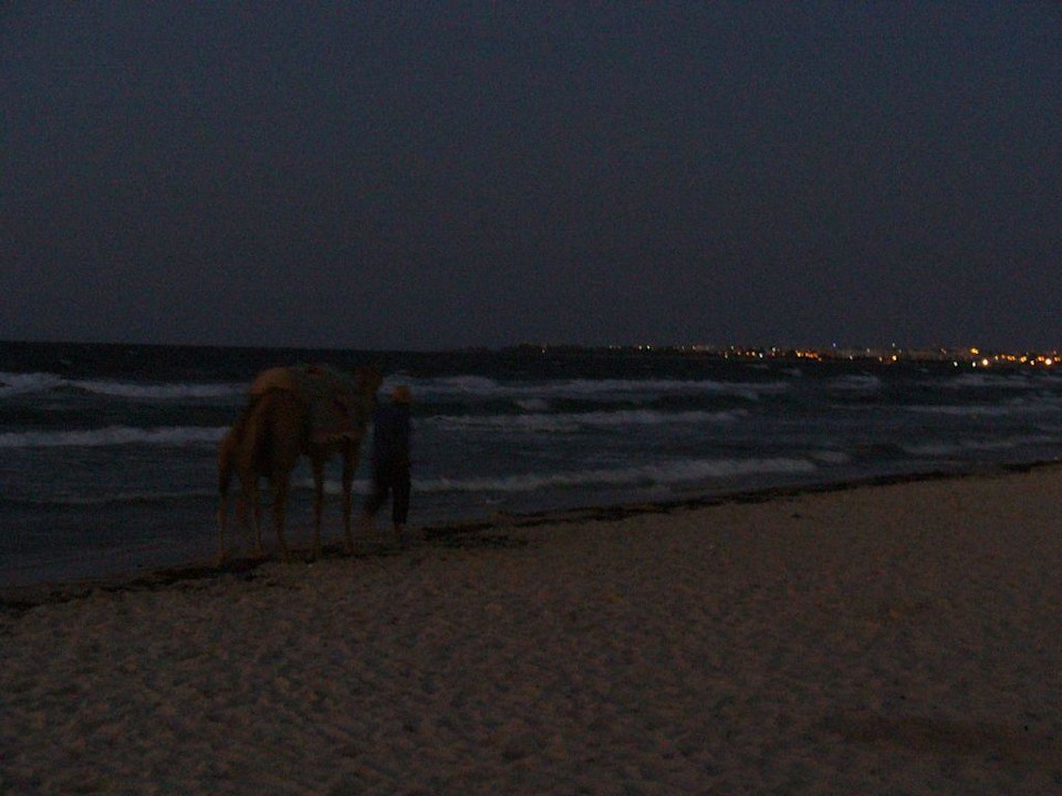 Kamel am Strand Hotel Amir Palace
