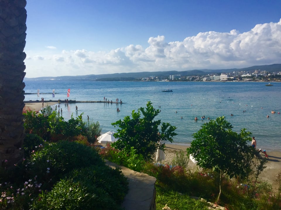 Ausblick Gold Island Selected