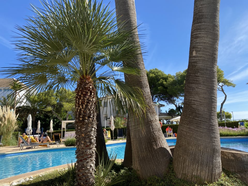 Pool allsun App.-Hotel Orquidea Playa