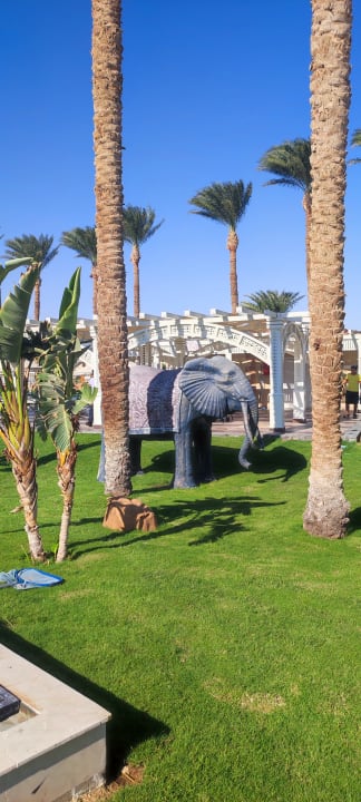 Gartenanlage Beach Albatros Resort