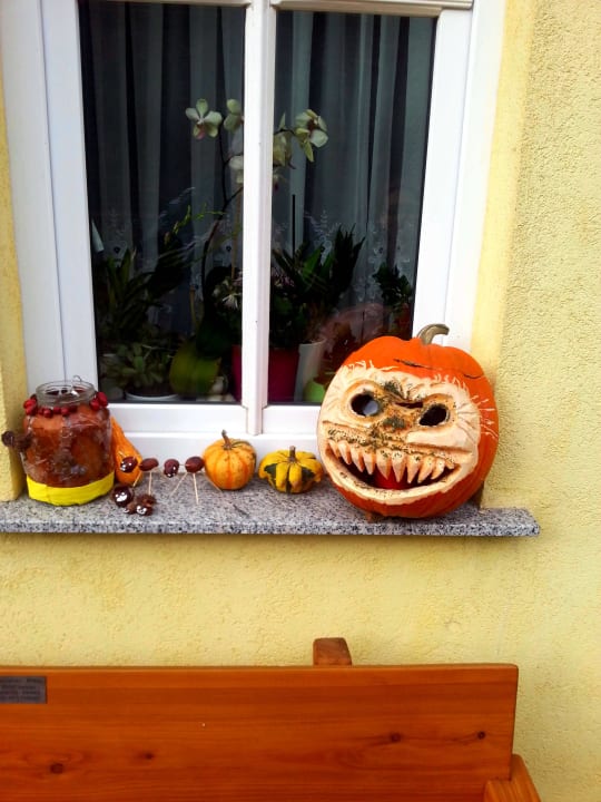 Kuriosität beim Spaziergang endeckt Bauernhof & Pension Haus Ibe