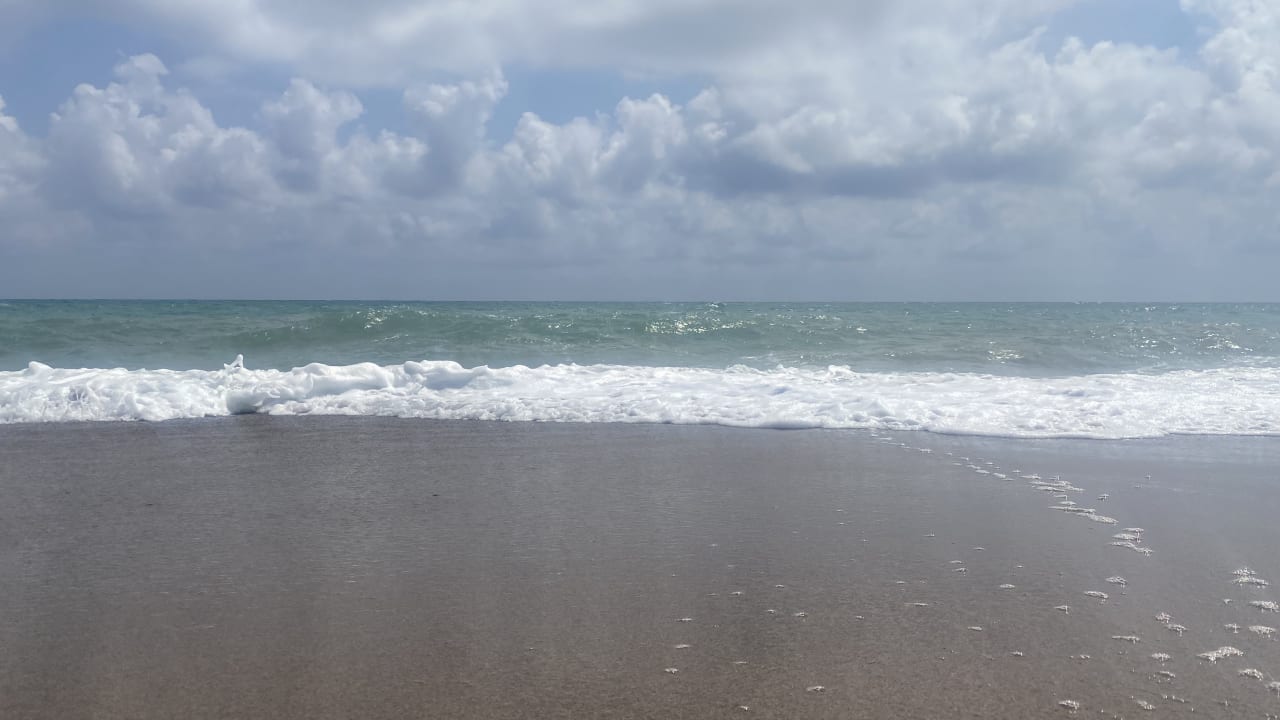 Strand Monachus Family Resort Sorgun