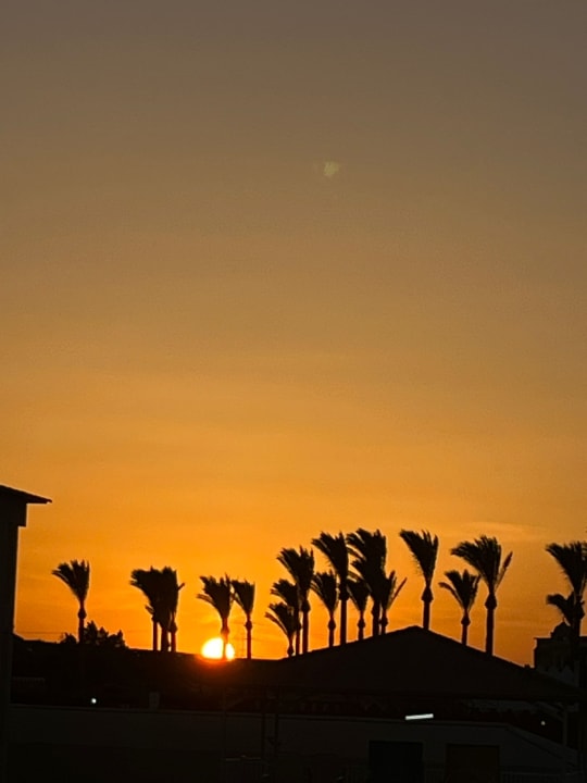 Ausblick Pickalbatros Dana Beach Resort - Hurghada