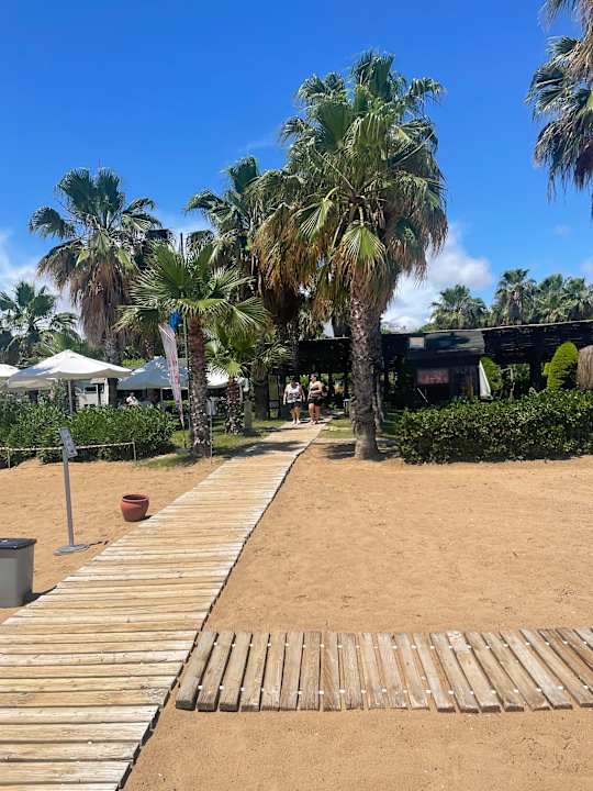 Gartenanlage Royal Atlantis Beach Hotel