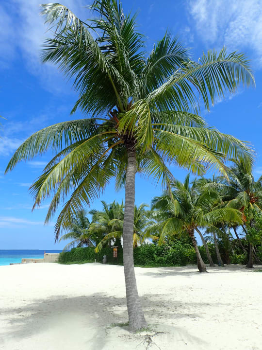 Strand Adaaran Select Meedhupparu Island Resort - Premium All Inclusive