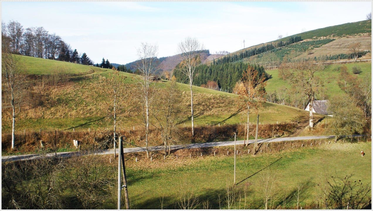 Ausblick vom Balkon Hotel Gut Vorwald
