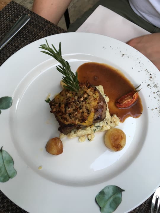 Gastro Acanthus Cennet Barut Collection