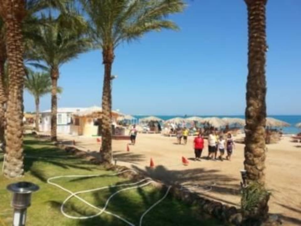 Blick zum Strand Sentido Caribbean World Soma Bay