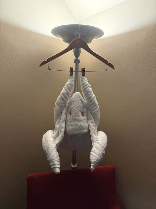 Zimmer Jaz Makadi Oasis Resort