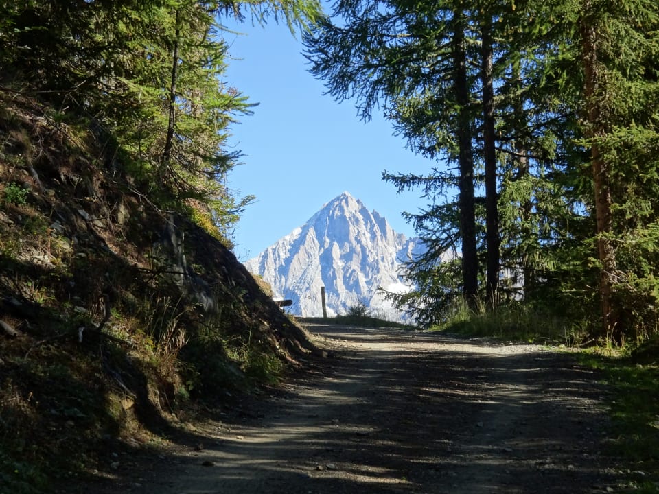 Ausblick Hotel Restaurant Bürchnerhof