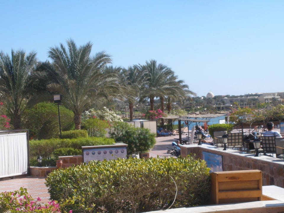 Ausblick von der Terrasse  Steigenberger Coraya Beach - Adults only