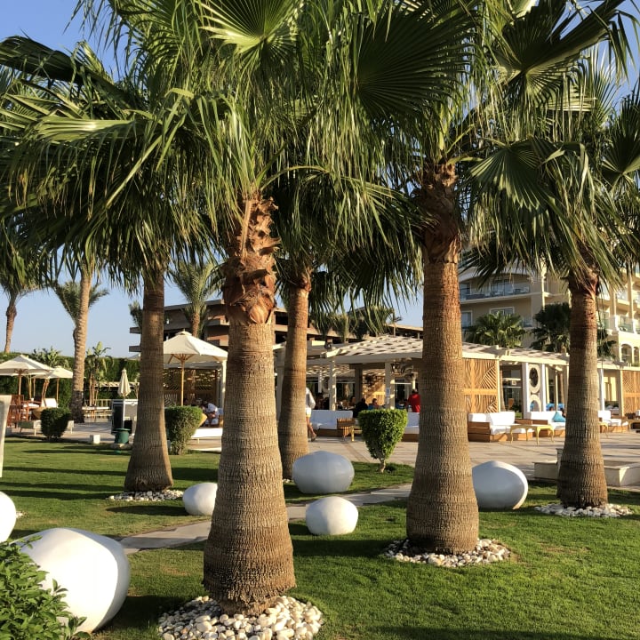 Gartenanlage Premier Le Reve Hotel & Spa