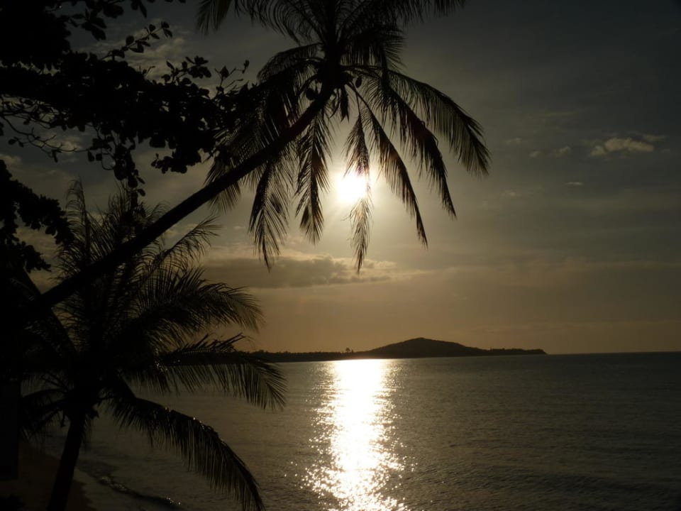 Strand Paradise Beach Resort, Samui