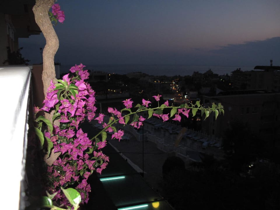 Blick aus dem Zimmer Hotel Club Paradiso