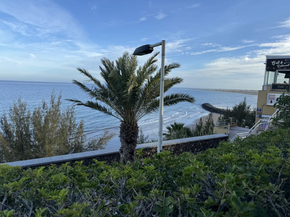 Ausblick Hotel Parque Tropical
