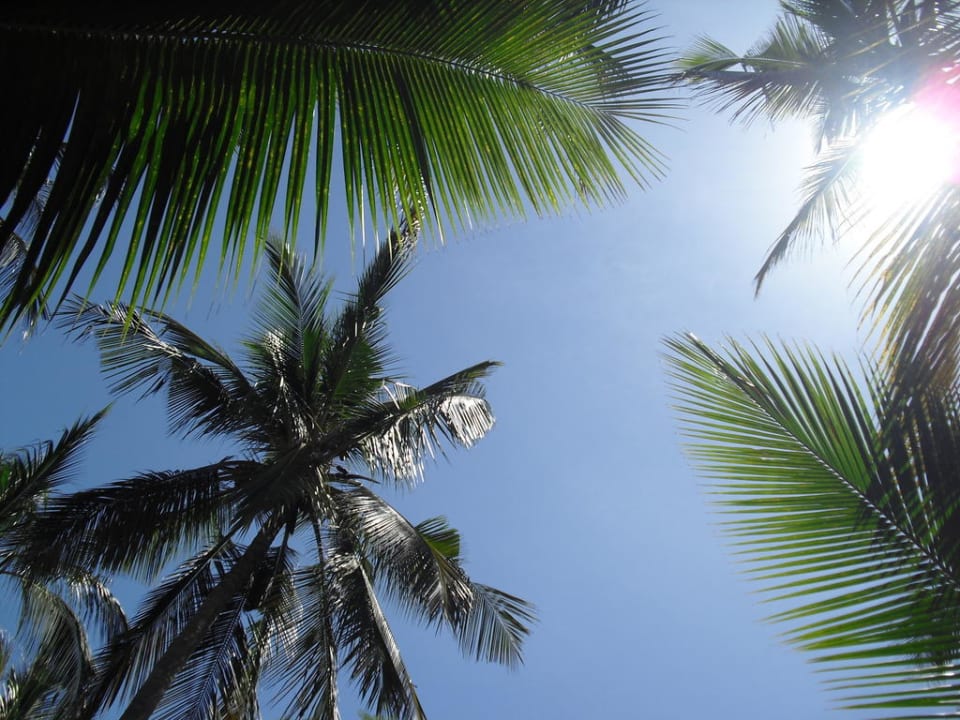 Ausblick von der Liege in den Himmel Bahari Beach Hotel
