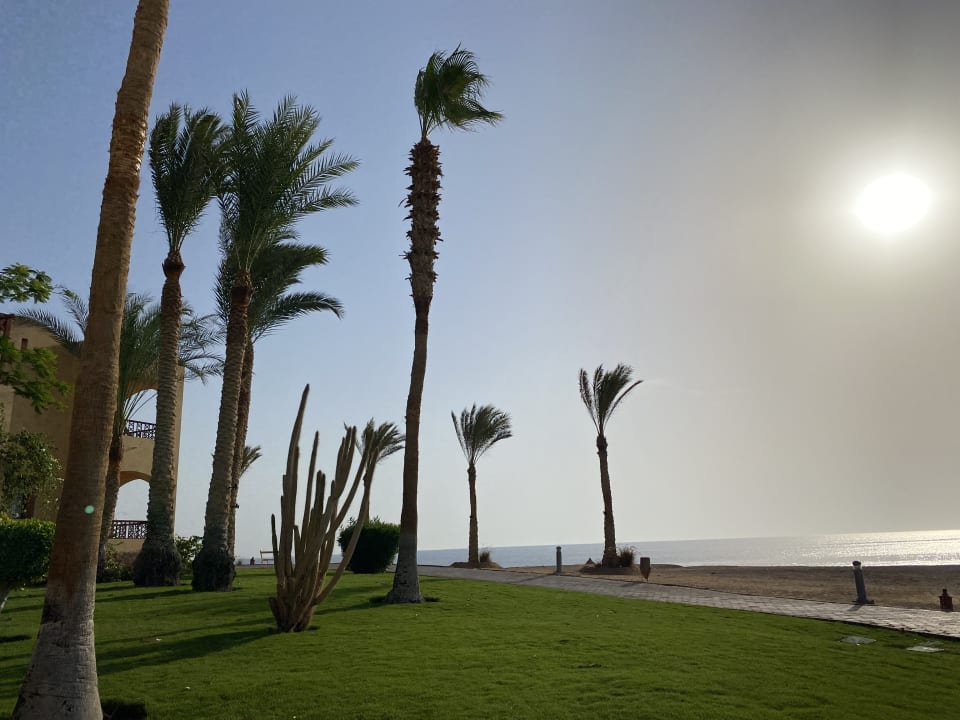 Ausblick Steigenberger Coraya Beach - Adults only