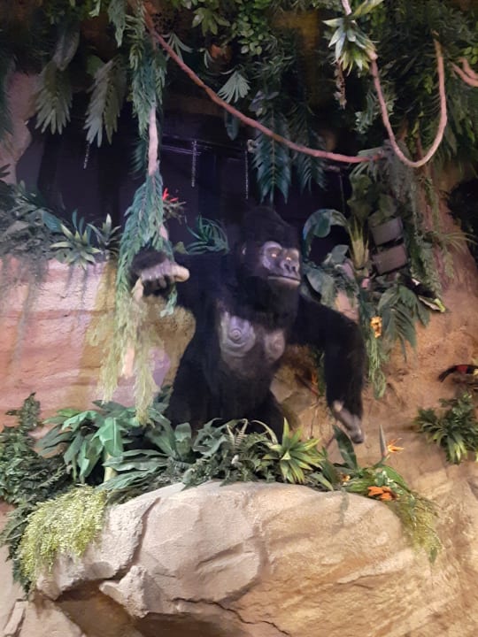 Gartenanlage Ferienwohnungen Ferienpark Weissenhäuser Strand