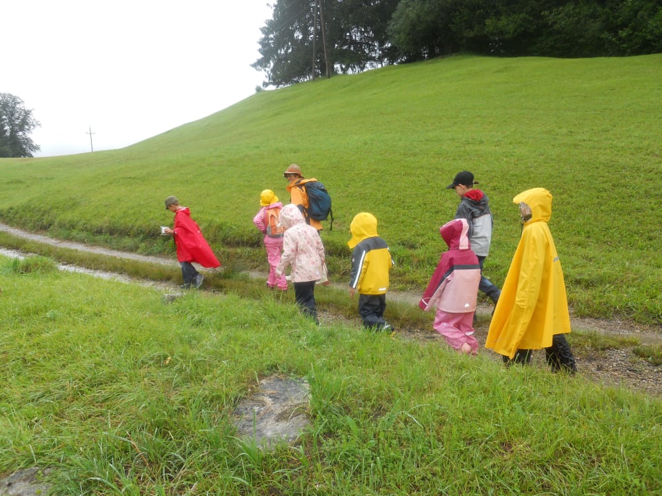 Kräuterwanderung Gintherhof