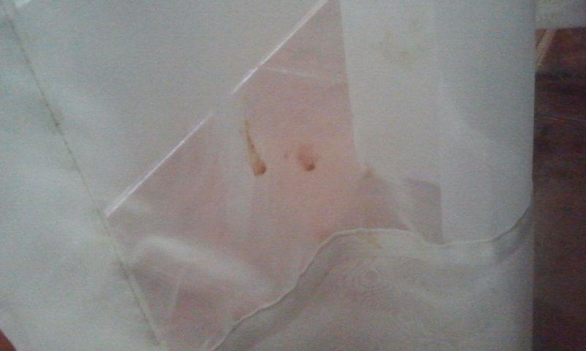 Gardine Wyndham Alltra Samana