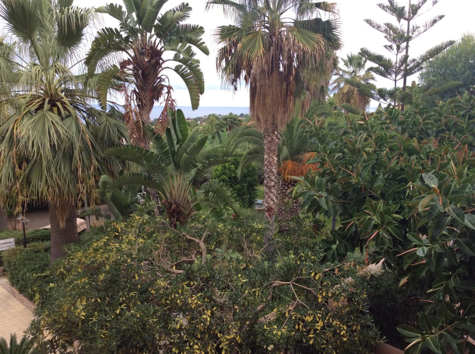 Ausblick Hotel Costa degli Dei