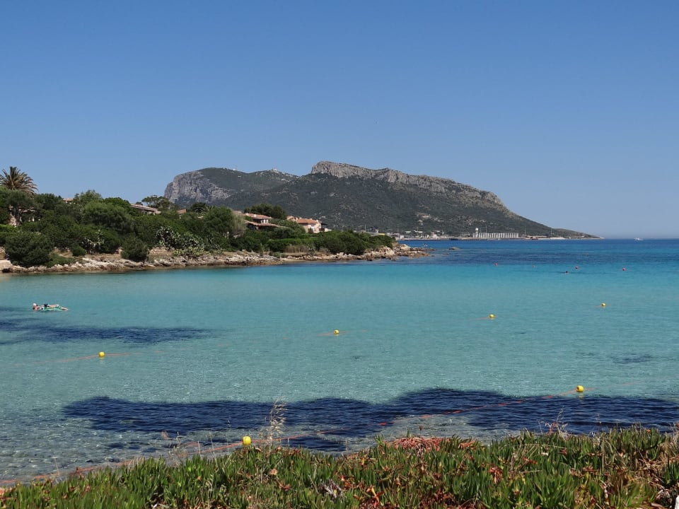 Blick auf das Meer Appartments Baia Caddinas Clubresidence