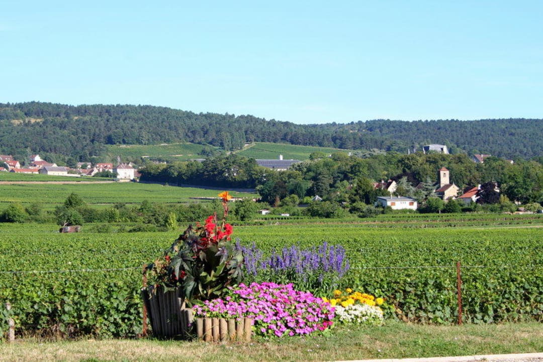 Blick vom Hoteleingang in die Lagen von Gevrey-Cha Hotel Logis Arts et Terroirs