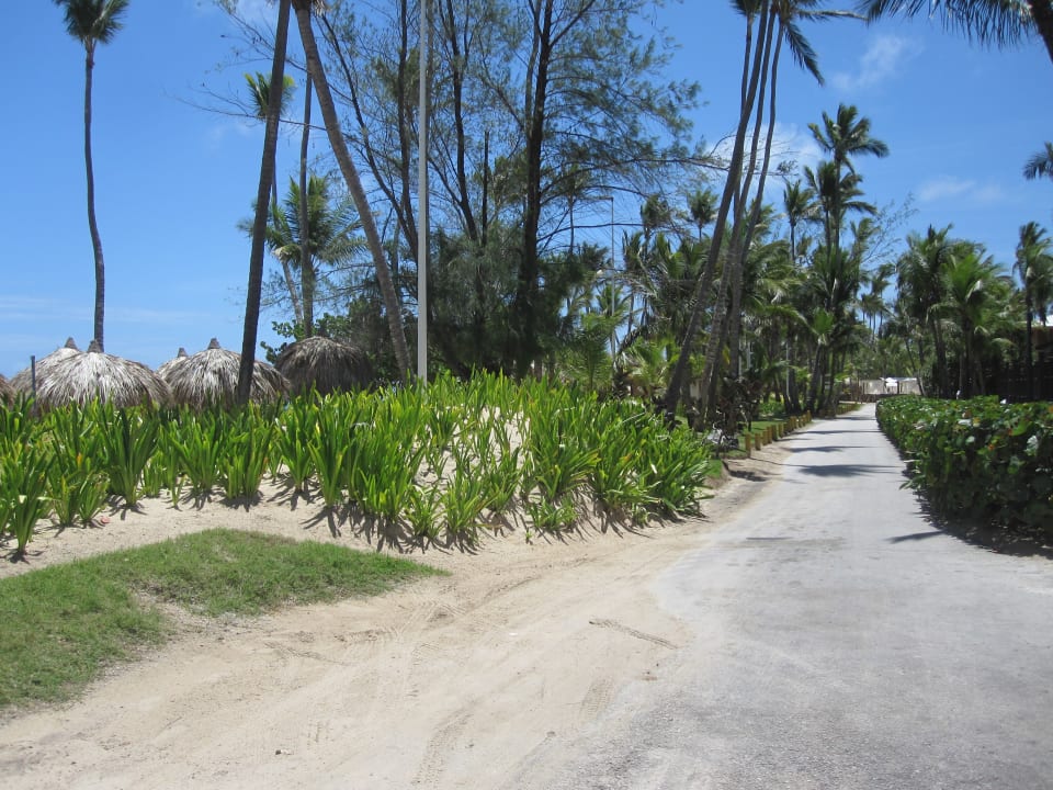 Gartenanlage Hotel Grand Palladium Palace Resort, Spa & Casino