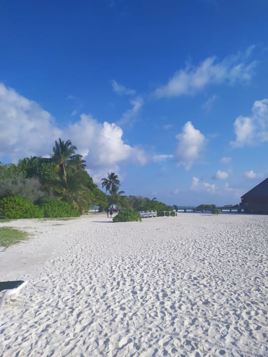Strand Meeru Maldives Resort Island