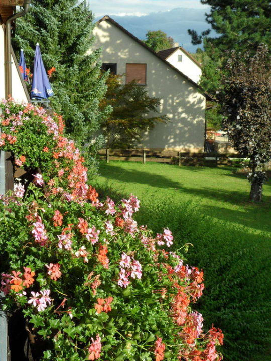 Pension Schwalbe Pension Schwalbe