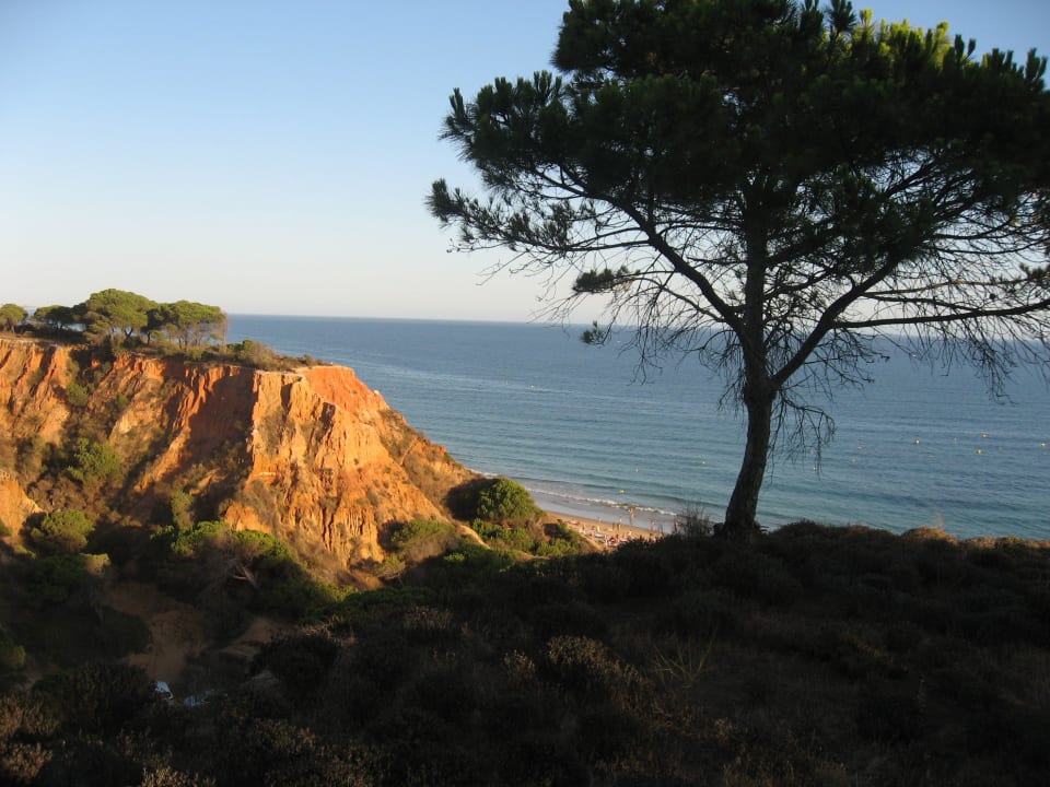 Kurz vor Sonnenuntergang PortoBay Falésia