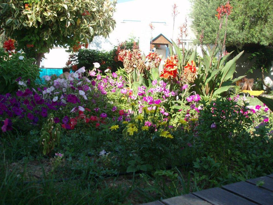 Mitte Juni - alles noch weitestgehend Grün Lydia Maris Resort & Spa