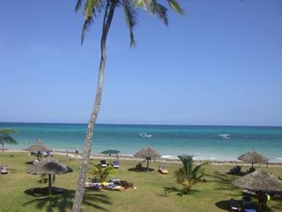 Garten zum Strand Neptune Palm Beach Boutique Resort & Spa