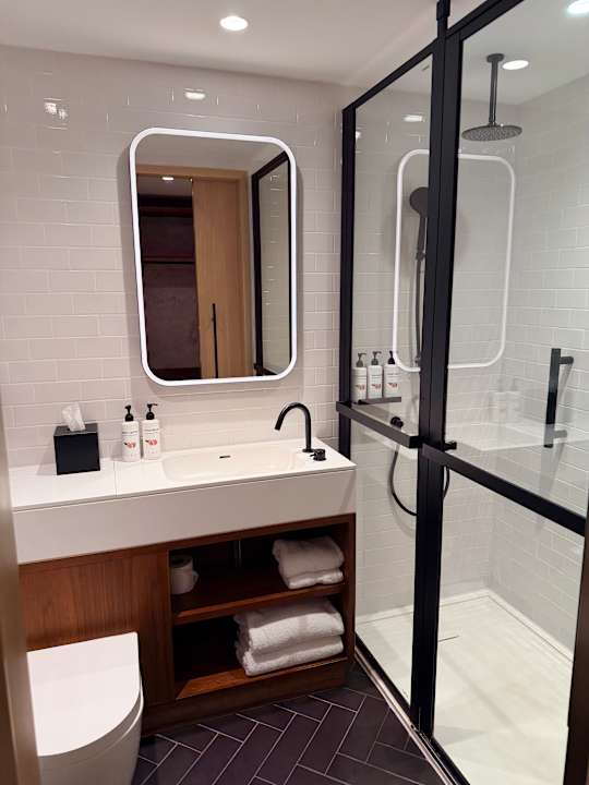 Zimmer Canopy by Hilton London City