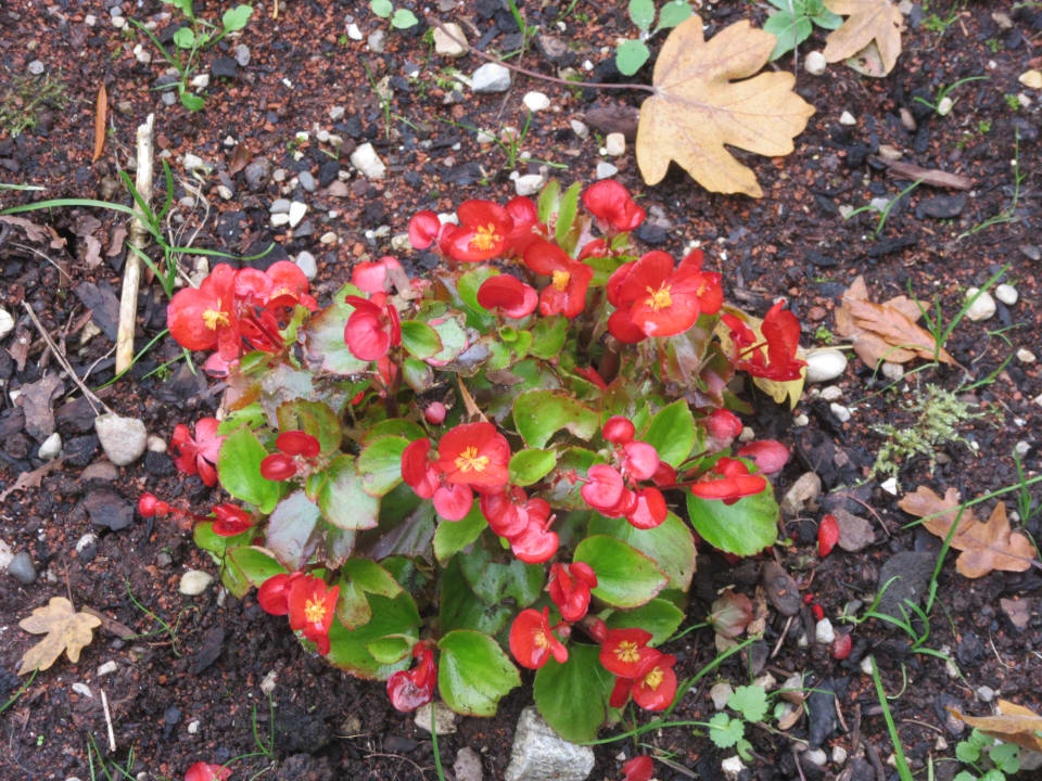 Gartenanlage Golfhotel Kaiserin Elisabeth