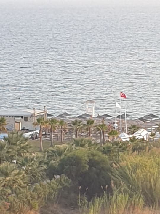 Ausblick Asteria Bloom Side