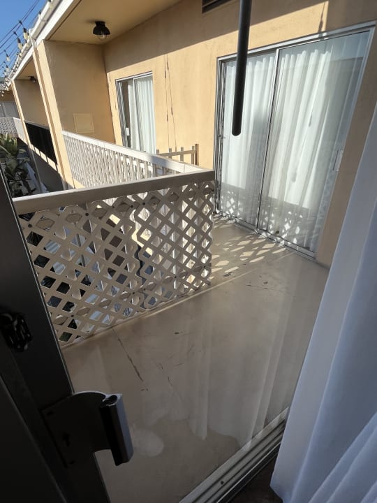 Zimmer Hollywood Hotel - The Hotel of Hollywood