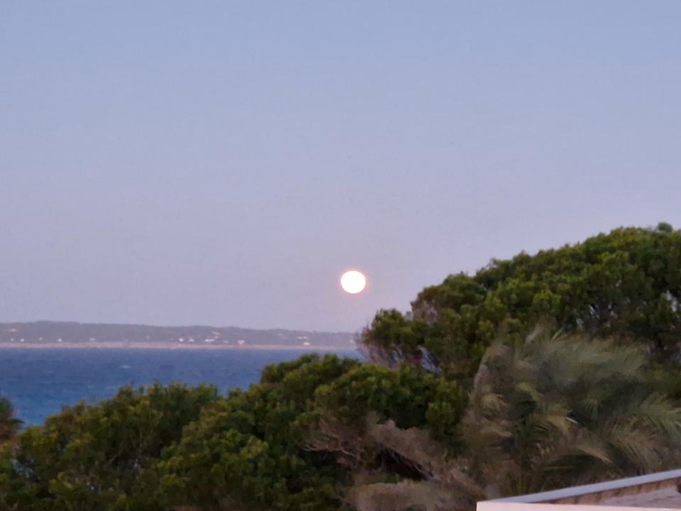 Außenansicht Hotel Riu Palace La Mola