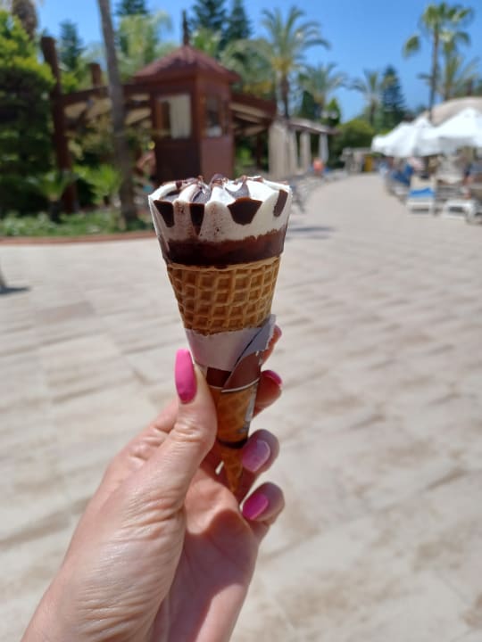 Gastro Saphir Resort & Spa