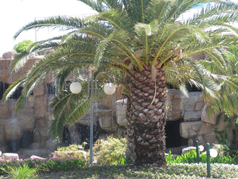 Vorm Hotel VONRESORT Golden Beach