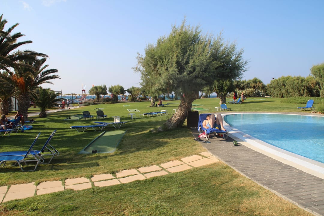 Schatten der Bäume wandert Santa Marina Beach