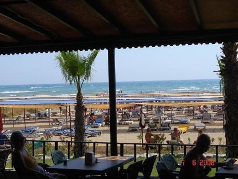 Widok z baru na plaży Hotel Club Verano