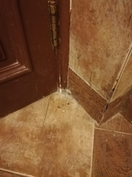 Zimmer Pickalbatros Citadel Resort