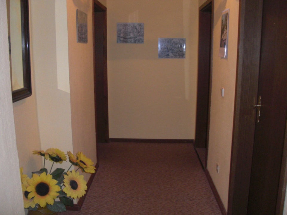 Flur Pension Am Stadtgraben