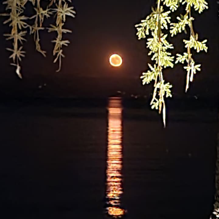 Sonstiges Domes Miramare, a Luxury Collection Resort, Corfu