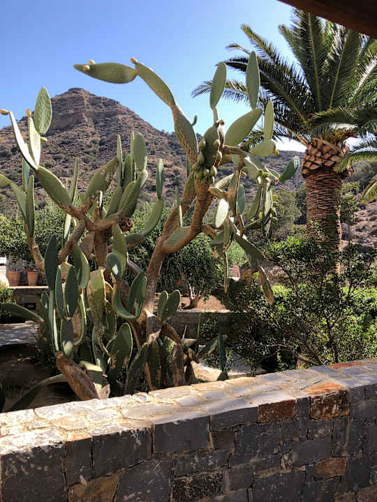 Gartenanlage Paralos Irini Mare