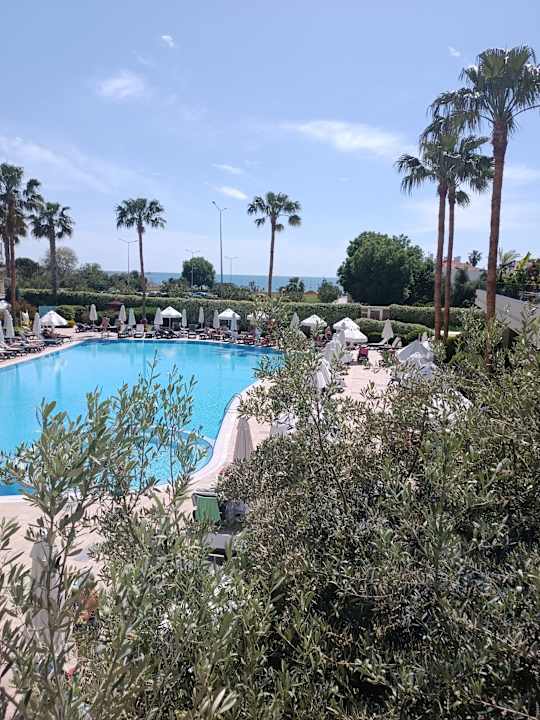 Pool TUI BLUE Barut Andız - All Inclusive - Adults Only