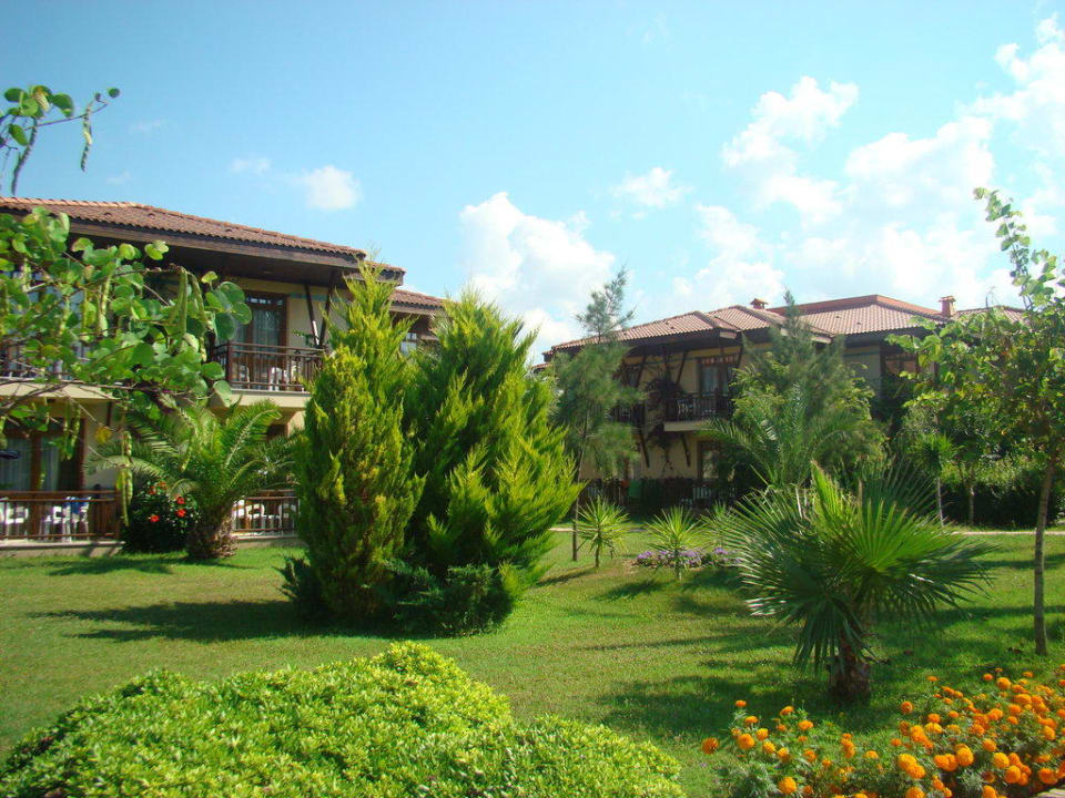 Ogród TUI KIDS CLUB Felicia Village