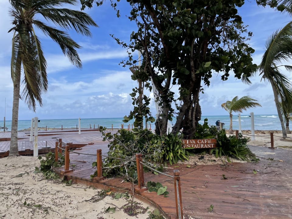 Gartenanlage Hotel Viva Dominicus Palace by Wyndham-All Inclusive Resort