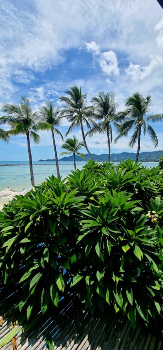 Außenansicht Dara Samui Beach Resort